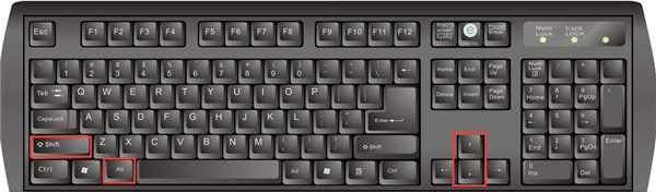 word中alt+f9