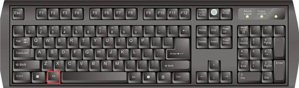 word中alt+f9