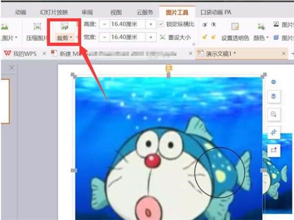 ppt中如何制作放大镜效果图片