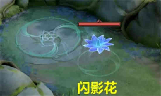 王者闪光