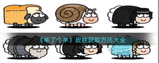 羊羊礼包都有哪些呀