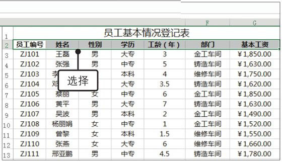 excel2019自动筛选在哪里