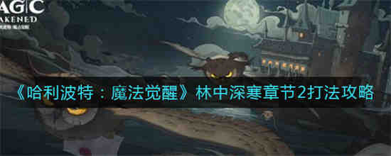 哈利波特魔法觉醒怎么玩