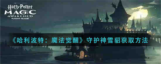哈利波特魔法觉醒雪狼怎么打