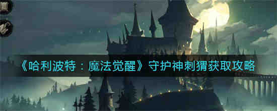 哈利波特魔法觉醒 守护神
