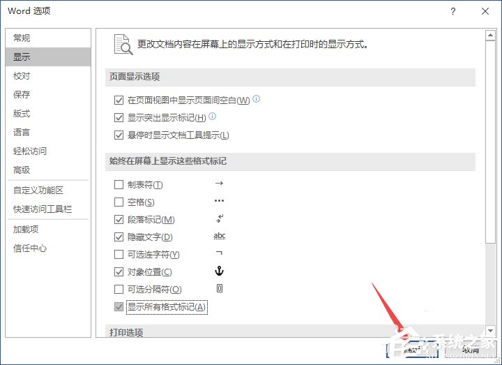 怎么显示word的所有格式