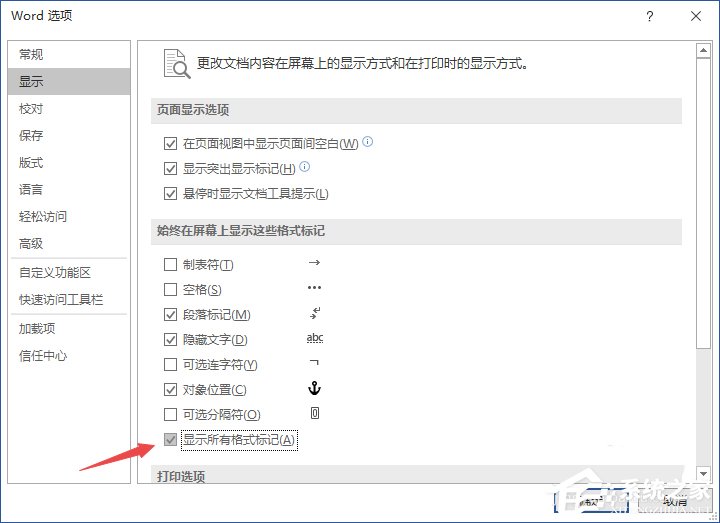 怎么显示word的所有格式