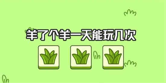 养了只羊