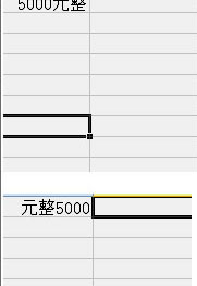 wps如何输入