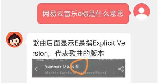 网易云音乐里面的e是什么意思