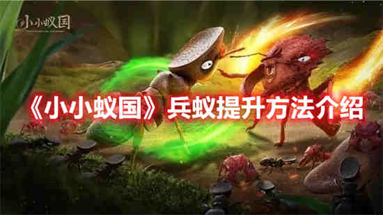 小小蚁国战斗力提升攻略