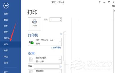 word显示无法打印