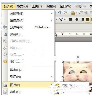 wps文字模板制作教程