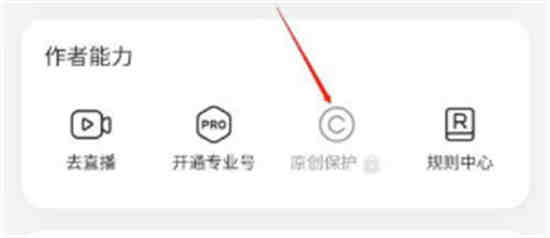 小红书如何申请原创保护
