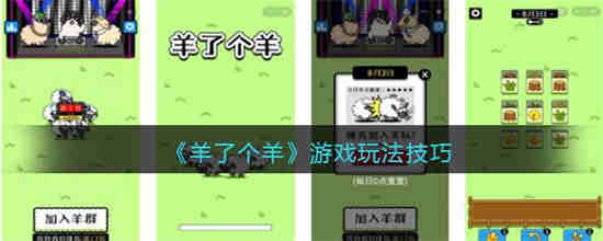 羊羊 过好