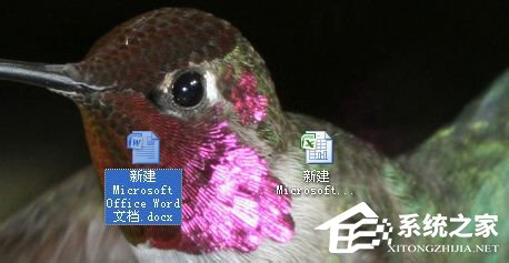 word2019怎么使用邮件合并功能