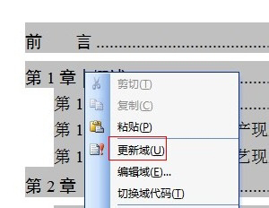 word2003 目录