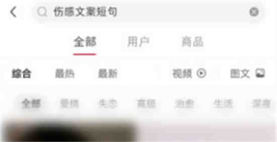 小红书搜索引擎