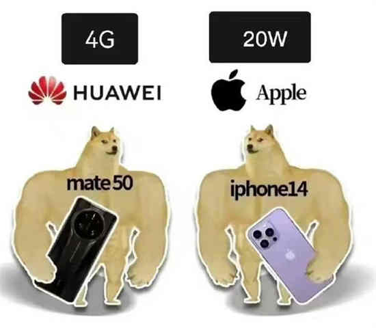 华为mate50和iphone13