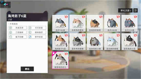 猫之城激活码