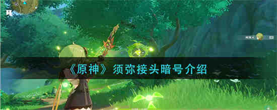 原神须弥接头暗号是什么意思啊