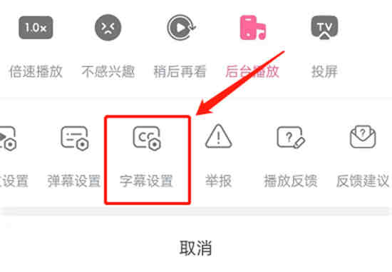 哔哩哔哩载入字幕