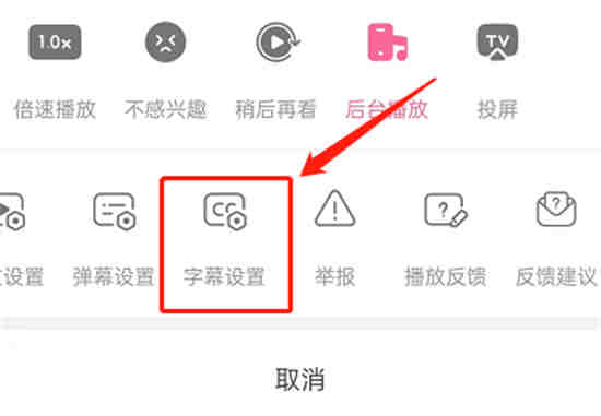 哔哩哔哩怎么有字幕