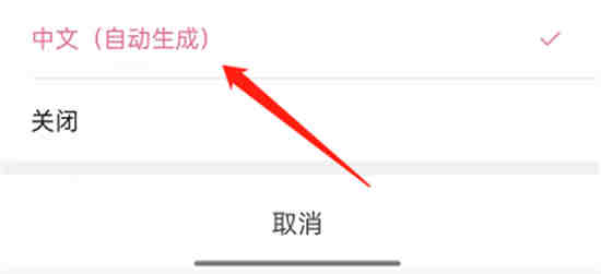 哔哩哔哩怎么有字幕