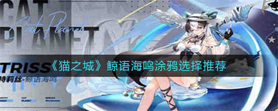 鲸落是对海的浪漫
