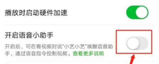 爱奇艺小艺语音功能