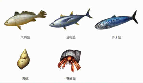 明日之后哪里可以钓到海鱼