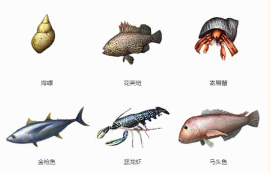 明日之后哪里可以钓到海鱼