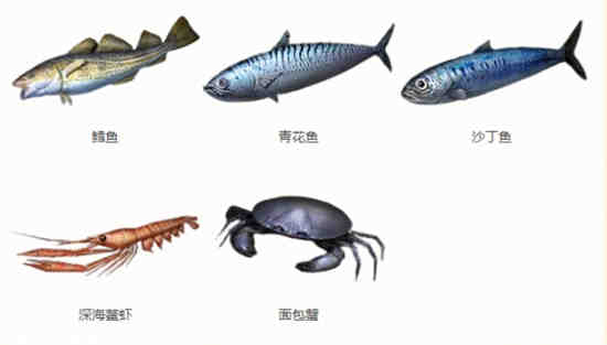明日之后哪里可以钓到海鱼