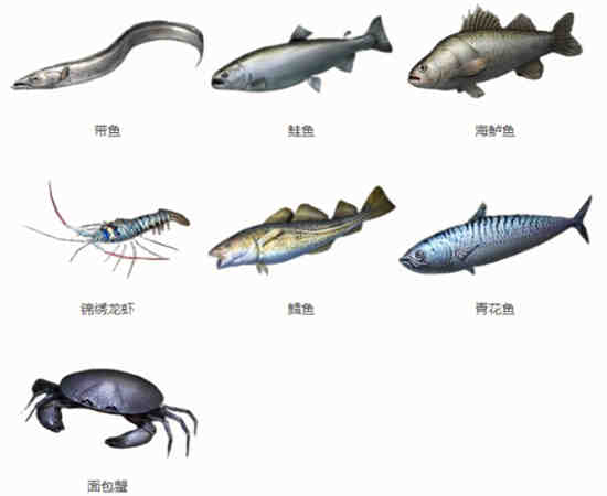 明日之后哪里可以钓到海鱼