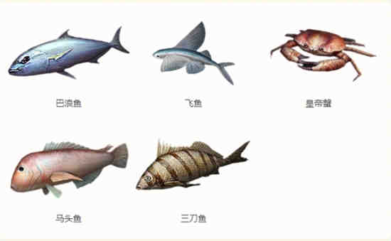 明日之后哪里可以钓到海鱼