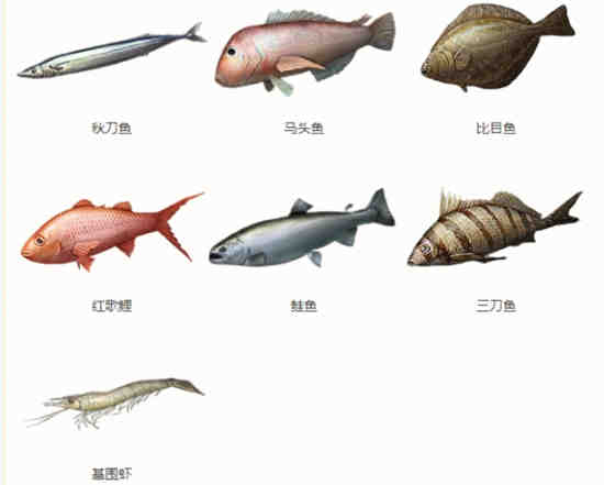 明日之后哪里可以钓到海鱼