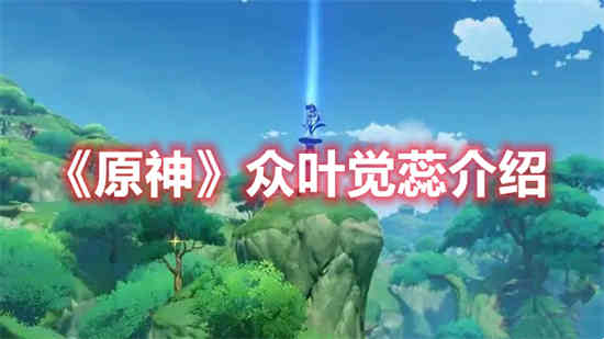 原神全套遐叶论经