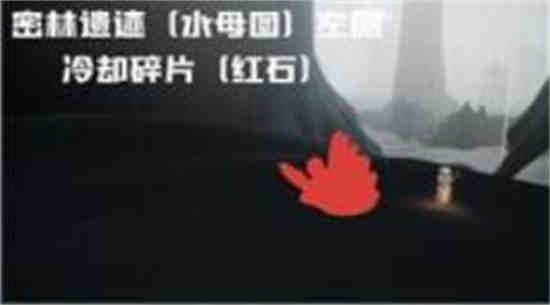 光遇雨林的石头是干什么的?