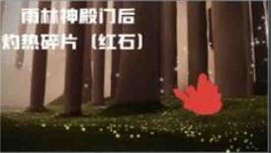 光遇雨林的石头是干什么的?