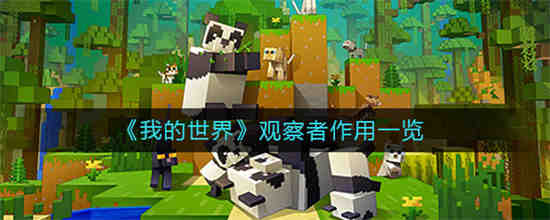 我的世界观察者观察范围