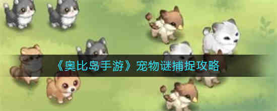 奥比岛手游怎么养宠物