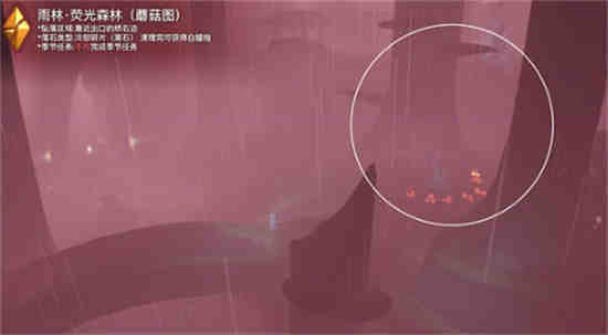 光遇雨林暗道