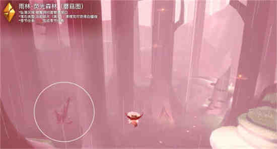 光遇雨林暗道