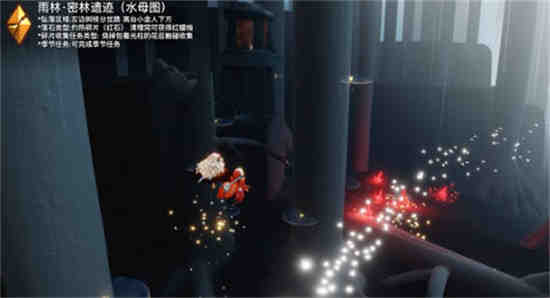 光遇雨林暗道