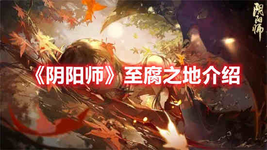 阴阳之道