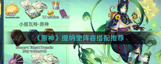 提纳是什么