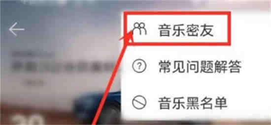 网易云音乐密友对方也能看到你吗