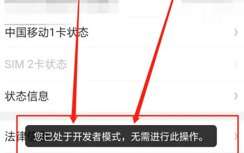 安卓13开发者模式怎么开