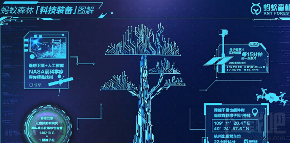 支付宝蚂蚁森林怎么找树