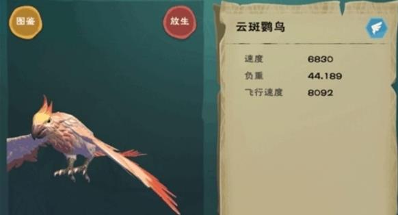 创造与魔法云斑鹦鸟在哪里